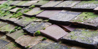 Pentraeth roof repair costs